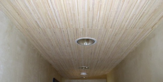 Bamboo Ceiling